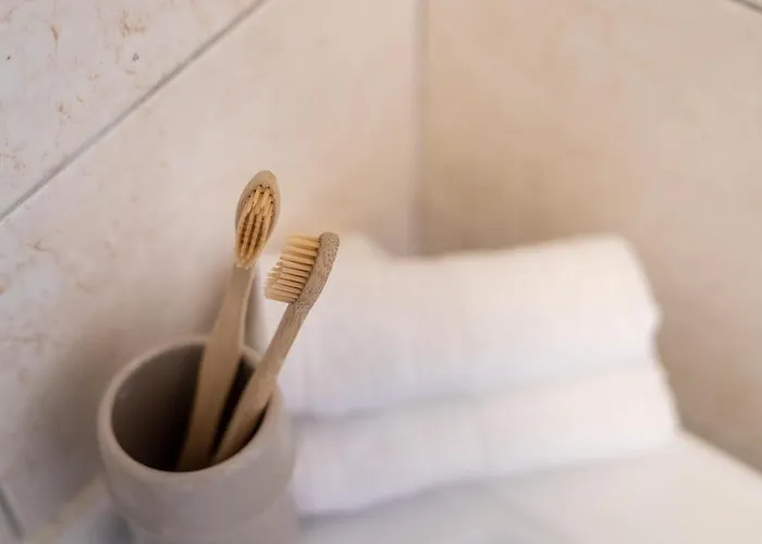 Apartmán Mare Palanga